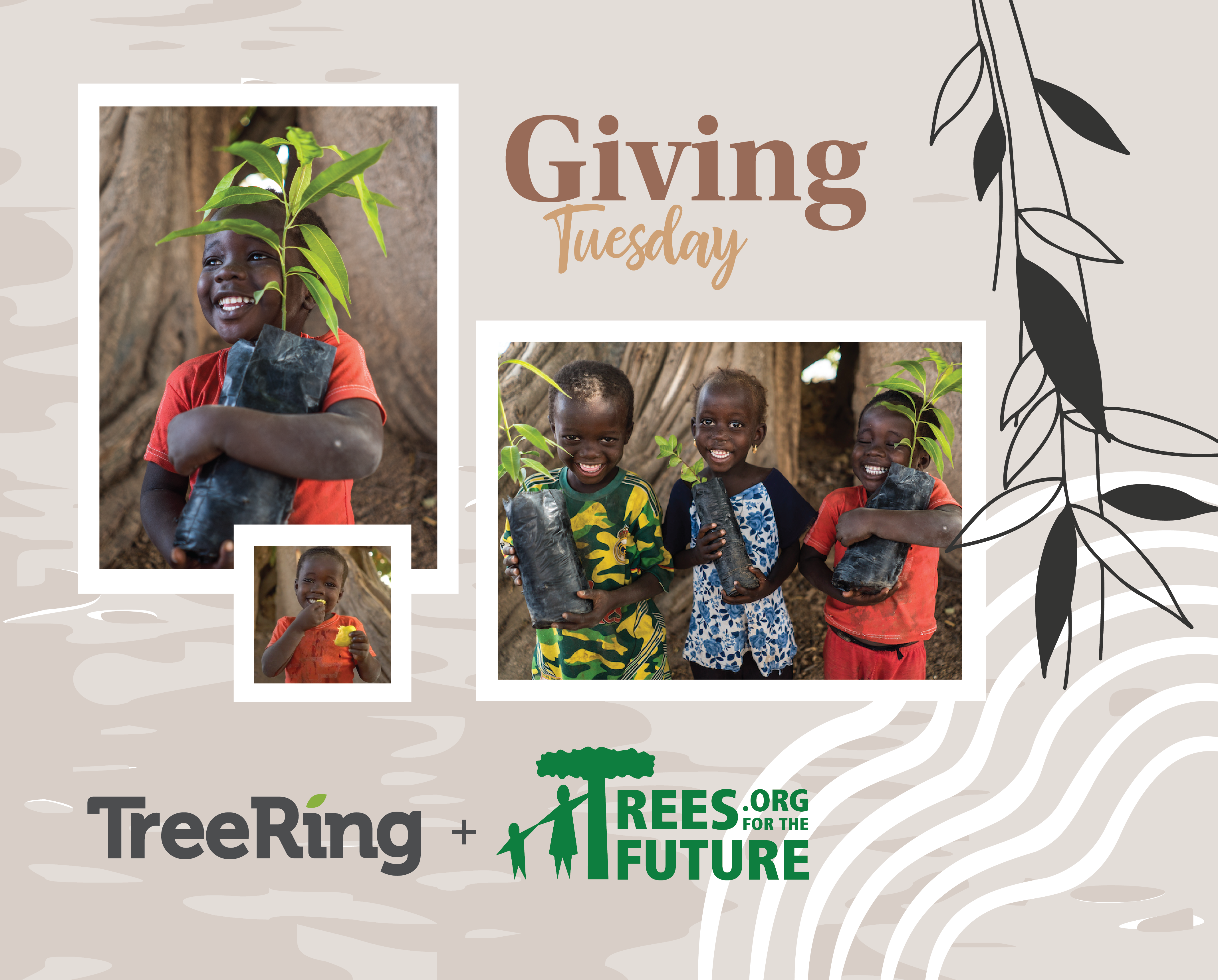 TreeRing Yearbooks and Trees for the Future celebrate $37,500 in donations
